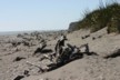 Gillespie Beach