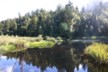 More reflections