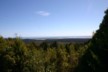 The Cook River estuary from the Pakihi walk