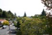 The view from the bedroom