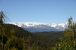 View from the Pakihi walk near Okarito