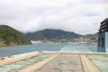 Leaving Picton
