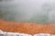 Champagne Pool