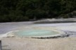 Oyster Pool
