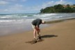 Digging for hot water