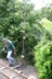 Changing points by a kauri tree