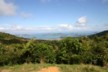 Coromandel Town from the lookout
