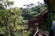 The double decker bridge on the Driving Creek railway
