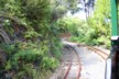 The track of the Driving Creek railway