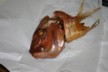 A smoked snapper head for Jane to pick