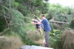 The tree is nearly cleared away