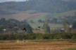 More flying stilts