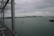 View from the Hilton 4