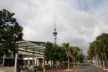 Skytower from the harbour