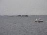 Fishing boat