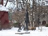 Strange statue