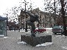 The Skater