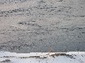 A famous area for whirlpools