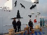 Getting ready for the Arctic circle ceremony