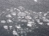 Broken ice