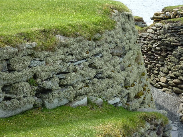 The air is so clear the lichen is wonderful