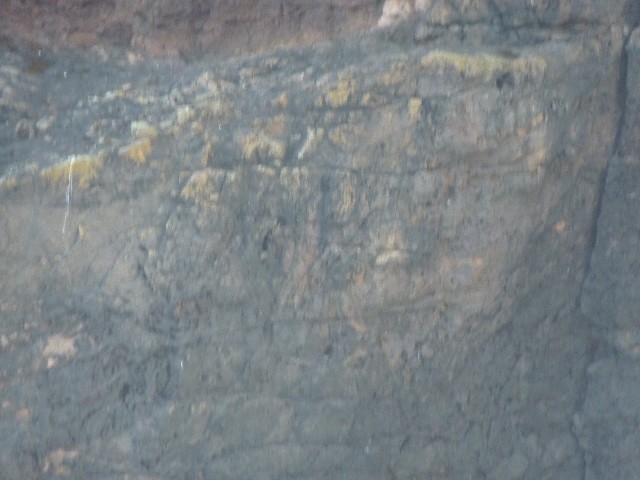 Puffins flying at Eshaness