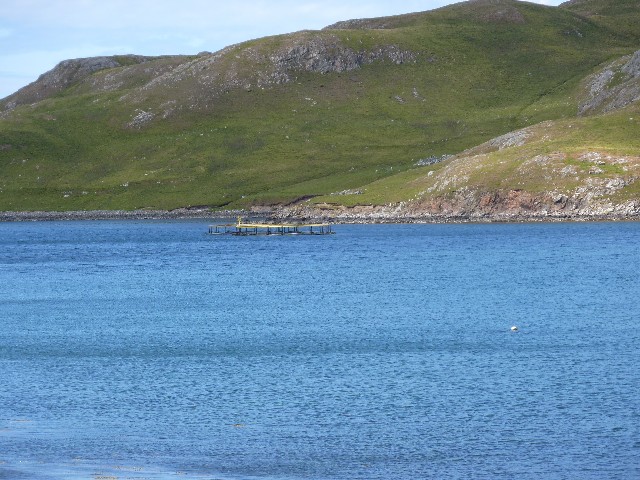 Salmon fish farm just by Mavis Grind