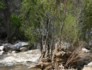 Sabino Canyon river