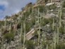 Sabino Canyon views