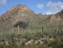 Saguaro National Park