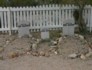 Waltons graves