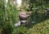 Dragon Well Tea Farm teapot