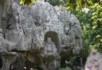 Lingyin Temple laughing buddha