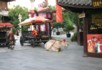 Song Park transport