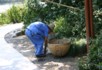 West lake gardener