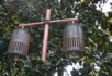 West lake lanterns