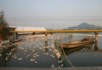 A duck farm in Shaoxing