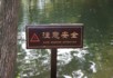 Orchid pavillion Chinglish