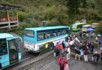 About to board a park coach