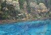 Five coloured lake