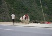 Taking a yak for another photo opportunity