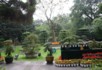 A garden near the exit to the irrigation project