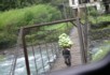 Another load of cabbages