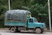 Taking the cabbage to market