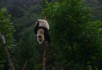 Watch me get down from here
