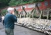 What was used to hold back the water at the irrigation project