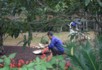 Mountain gardeners