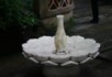 An inverted mushroom used as a fountain