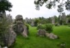 Another part of the minor forest