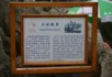 Explanation of the Stone Forest